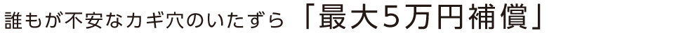 誰もが不安なカギ穴のいたずら「最大5万円補償」